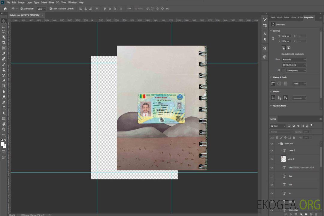 Mali Carte Nina photolook DEVANT template